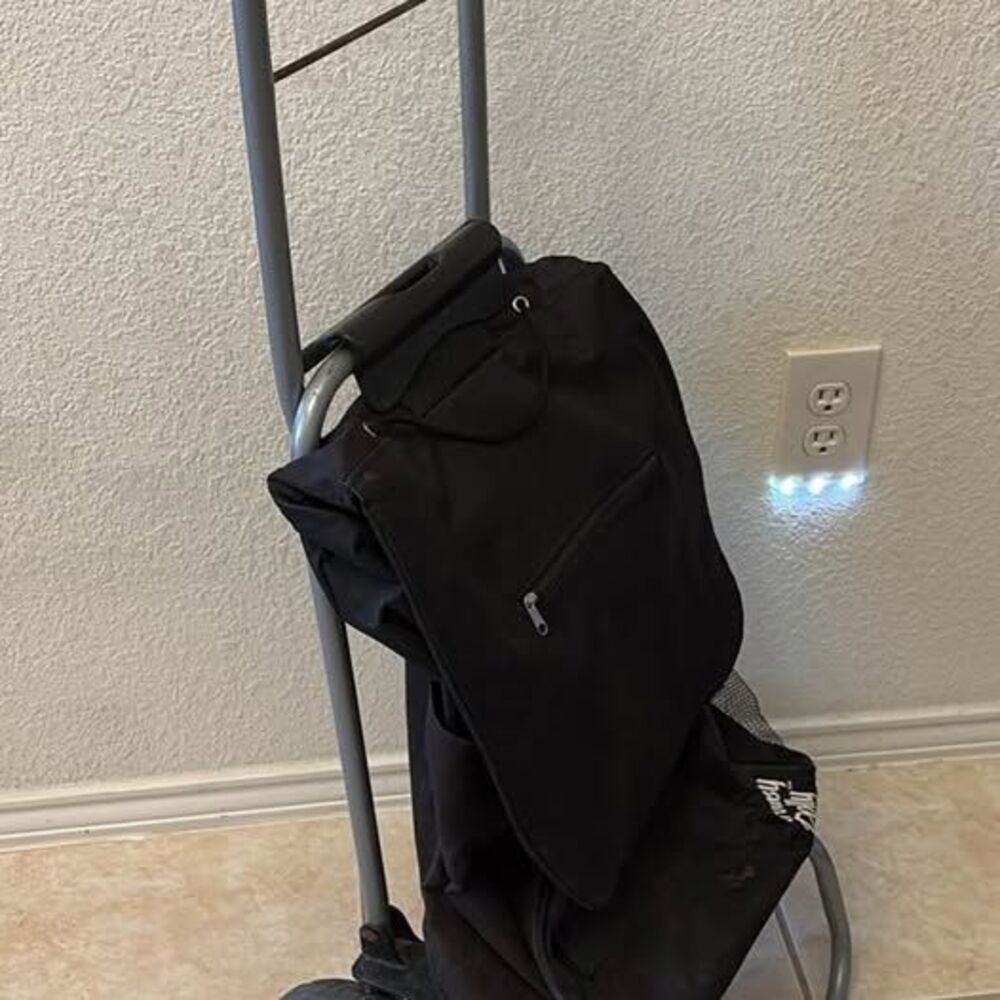 Folding Trolly Dolly folding grocery or travel carrier